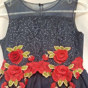 Nanette Lepore Girls Navy/Red Roses Applique Tulle Dress, Size 14, RN#102036